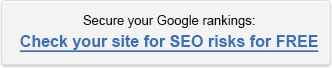Check your site for SEO risks for FREE