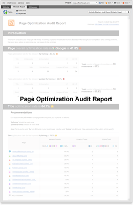 Relatório de auditoria de otimização de página